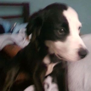 Meet your Posher, Carlos